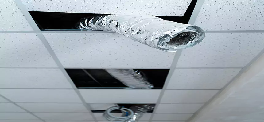 Affordable HVAC Sanitizing After Pest Removal in Chelsea