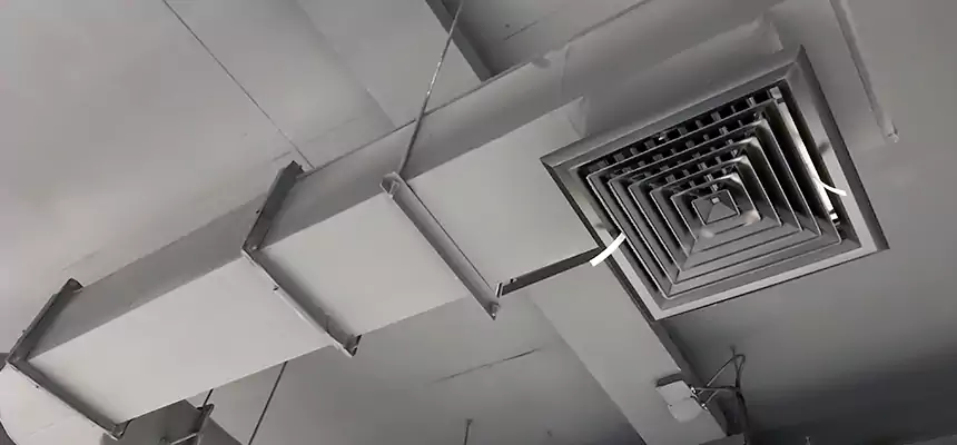 Our Pest Removal From Ducts Services in Chelsea, MA