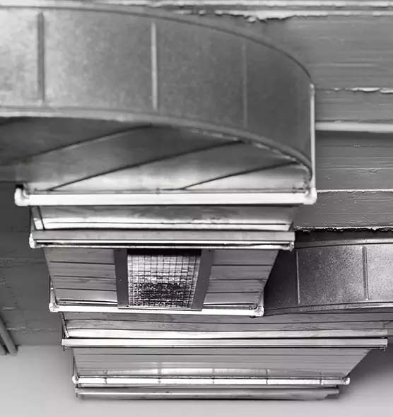 Professional Air Duct Pest Removal in Chelsea, MA