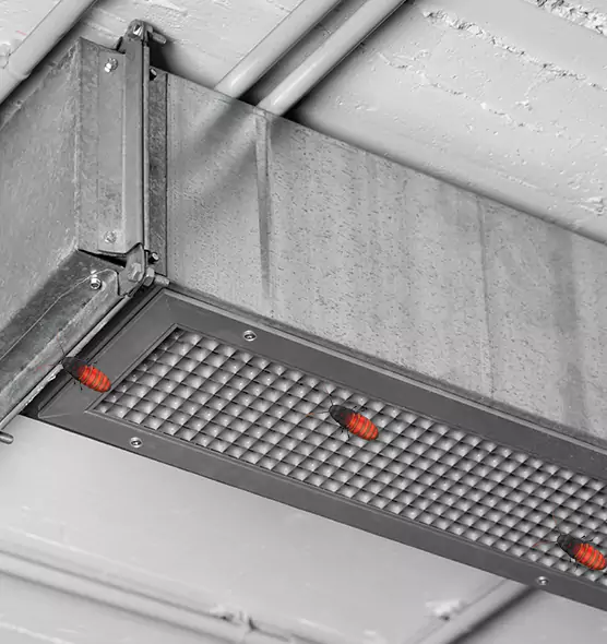 Affordable Insect Removal from Air Ducts in Chelsea, MA