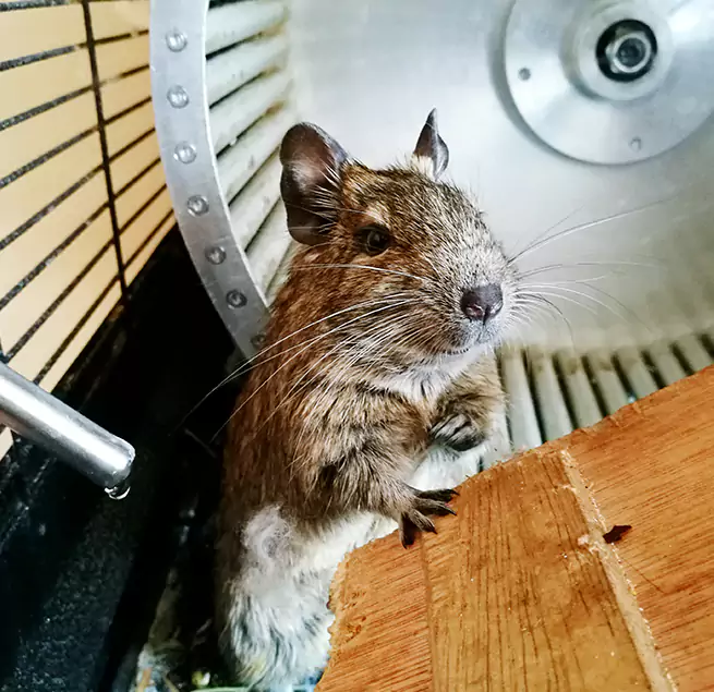 Why Homeowners & Businesses Trust Us Chelsea, MA