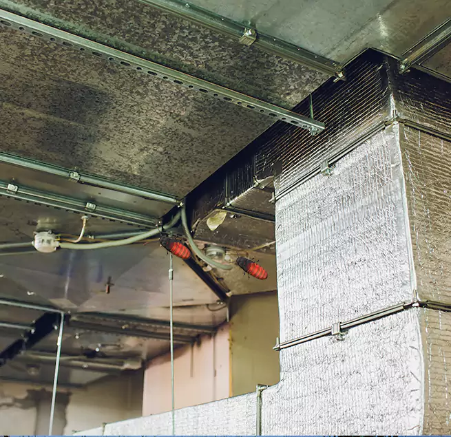 Why Homeowners & Businesses Trust Us Chelsea, MA?